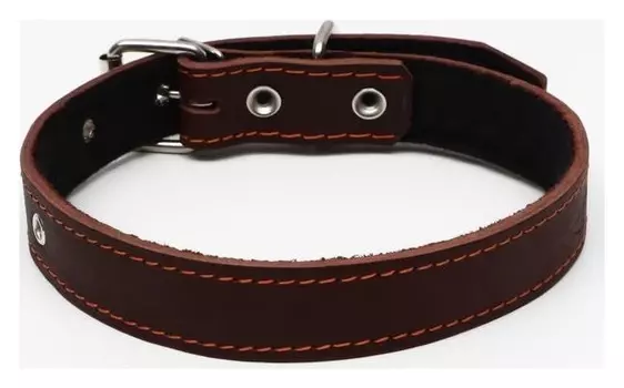 Ошейник кожаный на синтепоне, 65 х 3 см, ОШ 40-55 см, коричневый