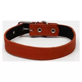 Ошейник кожаный на синтепоне, 65 х 3 см, ОШ 40-55 см, оранжевый