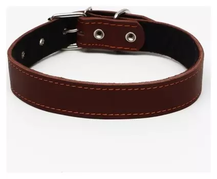 Ошейник кожаный на синтепоне, 70 х 3,5 см, ОШ 45-60 см, коричневый