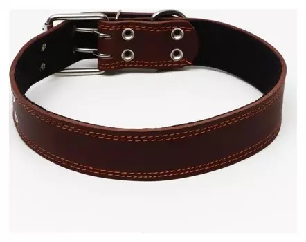 Ошейник кожаный на синтепоне, 82 х 4.5 см, ОШ 50-70 см, коричневый