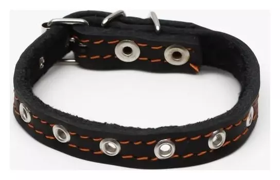 Ошейник кожаный на синтепоне, безразмерный, 37 х 1.5 см, чёрный
