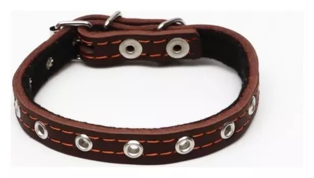 Ошейник кожаный на синтепоне, безразмерный, 37 х 1.5 см, коричневый