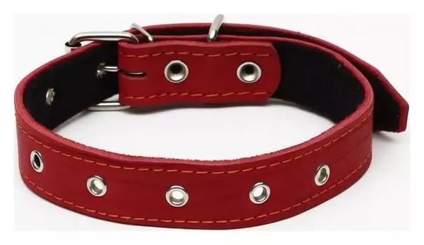 Ошейник кожаный на синтепоне, безразмерный, 65 х 3 см, красный