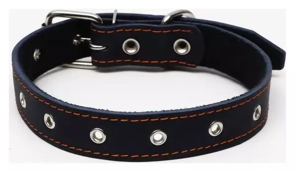 Ошейник кожаный на синтепоне, безразмерный, 65 х 3 см, синий