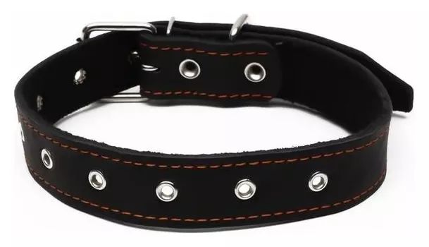 Ошейник кожаный на синтепоне, безразмерный, 71 х 3,5 см, чёрный
