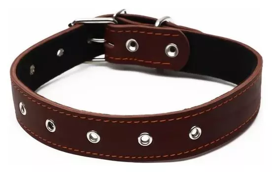 Ошейник кожаный на синтепоне, безразмерный, 71 х 3,5 см, коричневый