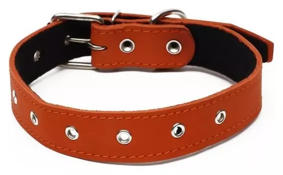 Ошейник кожаный на синтепоне, безразмерный, 71 х 3,5 см, оранжевый