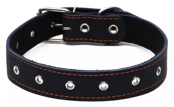 Ошейник кожаный на синтепоне, безразмерный, 71 х 3,5 см, синий