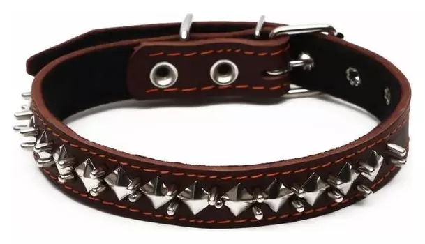 Ошейник кожаный на синтепоне "Ёж", 56 х 2.5 см, ОШ 35-45 см, коричневый