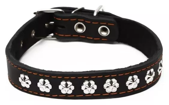 Ошейник кожаный на синтепоне, украшенный, 55 х 2.5 см, ОШ 35-45 см, черный
