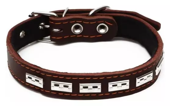 Ошейник кожаный на синтепоне, украшенный, 55 х 2.5 см, ОШ 35-45 см, коричневый