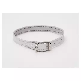 Ошейник кожаный однослойный, 25 х 1,2 см, белый