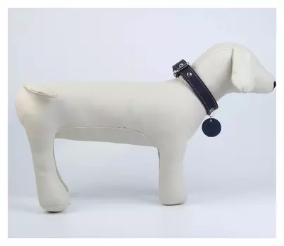 Ошейник кожаный однослойный, 30-53 см, синий, с кожаным подвесом «Друг человека»