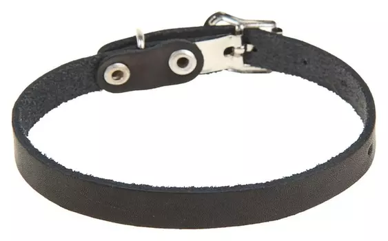 Ошейник кожаный однослойный, 30 х 1 см, черный