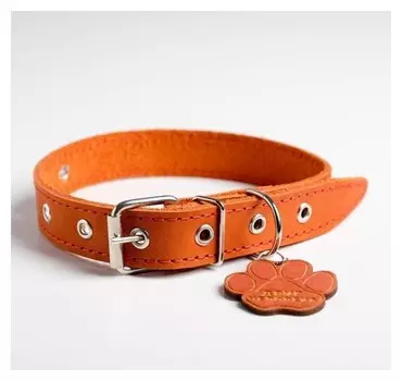 Ошейник кожаный однослойный, 31 - 52см, 58 х 2.5 см, апельсин