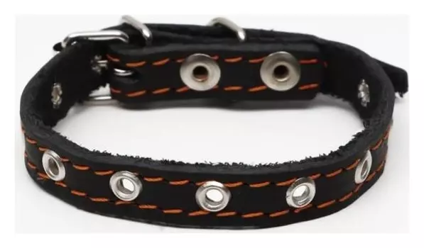 Ошейник кожаный однослойный, безразмерный, 37 х 1.5 см, чёрный