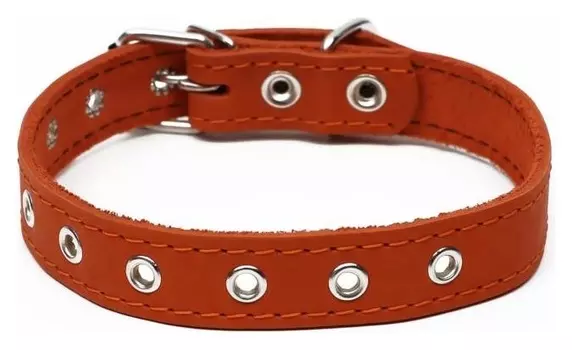 Ошейник кожаный однослойный, безразмерный, 56 х 2.5 см, оранжевый
