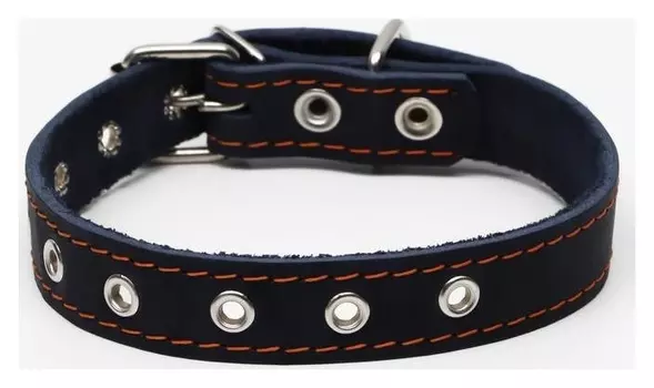 Ошейник кожаный однослойный, безразмерный, 56 х 2.5 см, синий