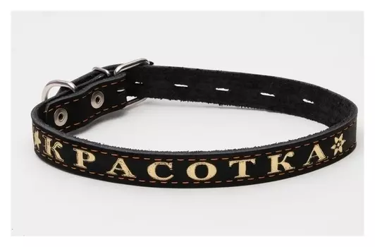 Ошейник кожаный однослойный с металлизированным тиснением «Красотка», 48 х 2 см микс цветов