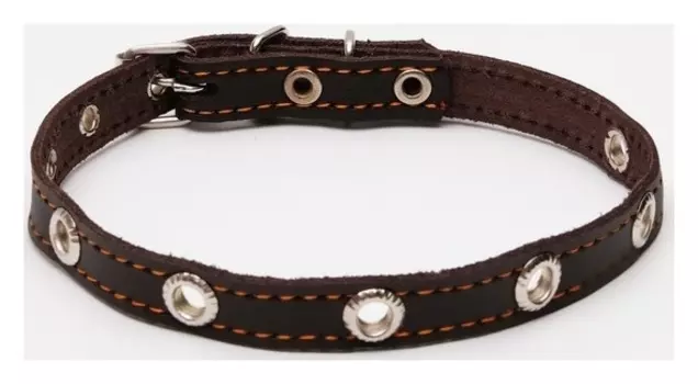 Ошейник кожаный однослойный с рифленными люверсами, 35 х 1,2 см, безразмерный