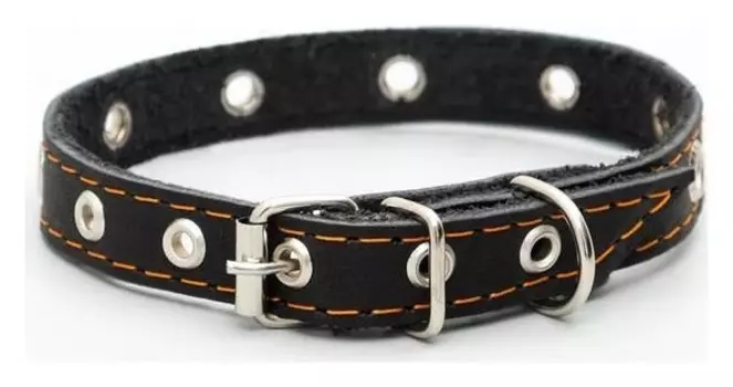 Ошейник кожаный однослойный с рифленными люверсами, 40 х 1,5 см, безразмерный, чёрный