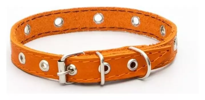 Ошейник кожаный однослойный с рифленными люверсами, 40 х 1,5 см, безразмерный, рыжий