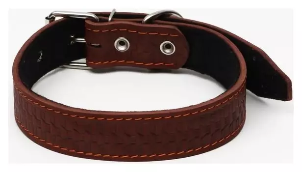 Ошейник кожаный с тиснением на синтепоне, 70,5 х 3,5 см, ОШ 45-60 см, коричневый