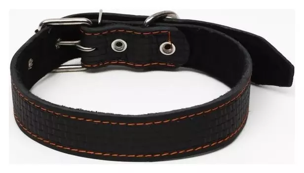 Ошейник кожаный с тиснением на синтепоне, 71.5 х 3.5 см, ОШ 45-60 см, чёрный