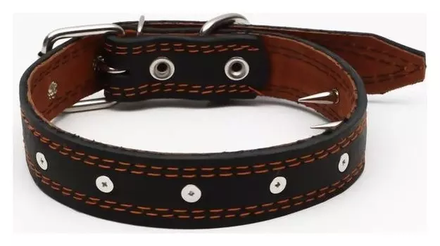 Ошейник кожаный "Строгий шип", 65 х 3 см, ОШ 40-55 см, чёрный