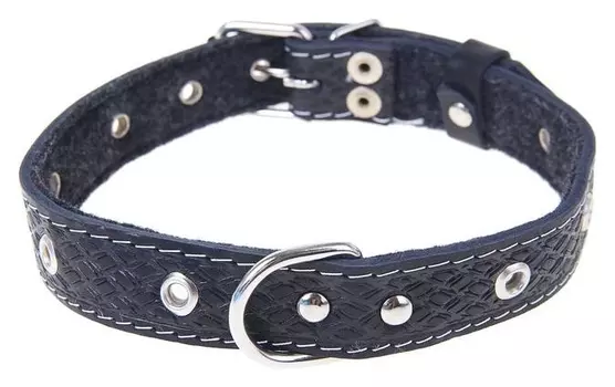 Ошейник кожаный тисненый на фетре, 54 х 2,5 см, безразмерный, микс цветов