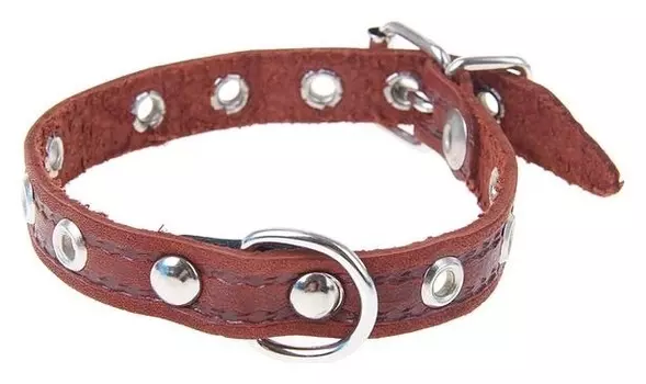 Ошейник кожаный тисненый однослойный, 29 х 1,2 см, безразмерный, микс цветов