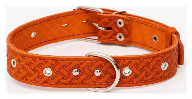 Ошейник кожаный тисненый однослойный, безразмерный, 64 х 3,5 см, рыжий
