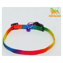 Ошейник "Радуга" 30 х 1 см, капрон