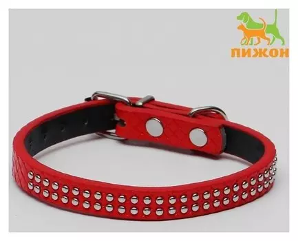 Ошейник рифленый с 2 рядами клепок, 33 х 1,2 см, красный