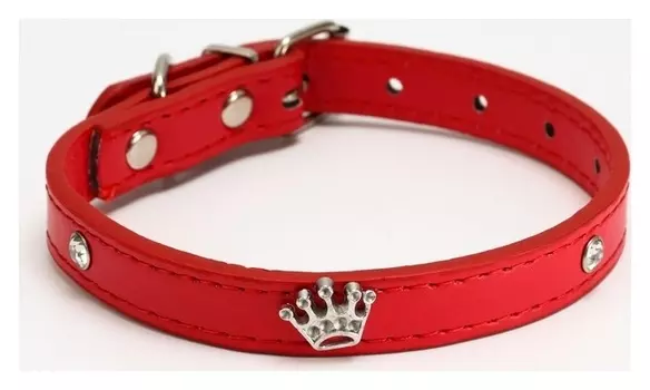 Ошейник с металлическим декором и со стразами "Корона", 36 х 1,4 см, красный