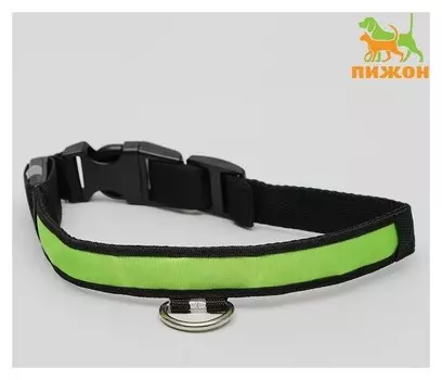 Ошейник с подсветкой "Flash", 3 режима свечения, размер М 43 х 2,5