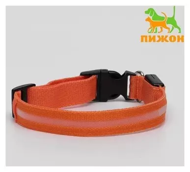 Ошейник с подсветкой, L, 45-50 см, 3 режима свечения, оранжевый