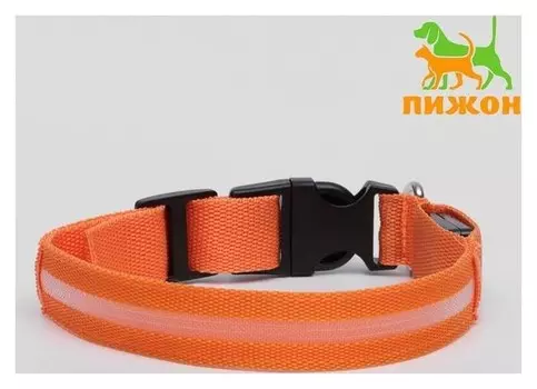 Ошейник с подсветкой, M, 40-45 см, 3 режима свечения, оранжевый