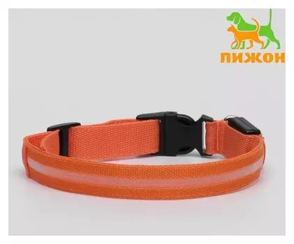 Ошейник с подсветкой, XL, 50-58 х 2,5 см, 3 режима свечения, оранжевый