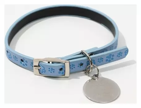 Ошейник с подвесом «Верный друг» 31x1 см, голубой