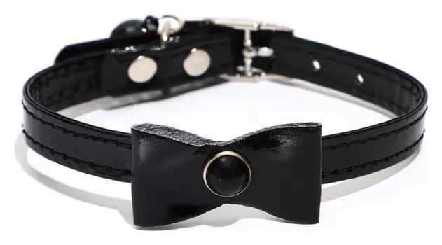 Ошейник "Сияние" со стразами и блестками, 30 х 1 см, чёрный