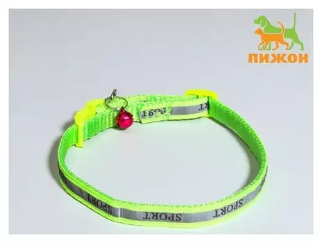 Ошейник "Спорт" со светоотражающей полосой, 31 х 1 см, зелёный