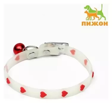 Ошейник, светящийся в темноте "Любовь" (Люминесцентный пластик)