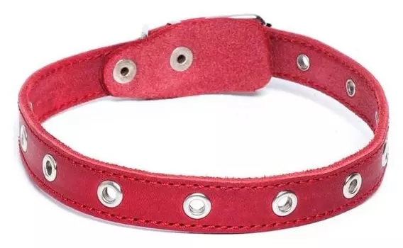 Ошейник универсальный, красный (Размер 12-45 см, ширина 2 см), кожаный