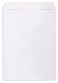 Пакет белый E4 трип Businesspack300х400 100г 50шт/уп/5183