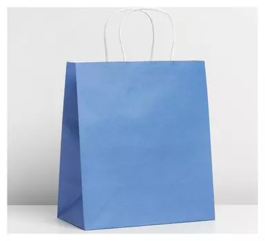 Пакет крафтовый Blue, 22 × 25 × 12 см