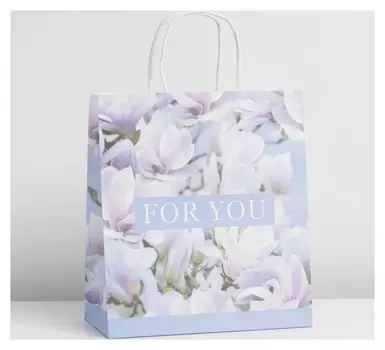 Пакет крафтовый For You, 22 × 25 × 12 см