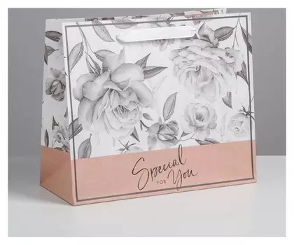 Пакет крафтовый горизонтальный Special For You, 27 х 23 х 11,5 см