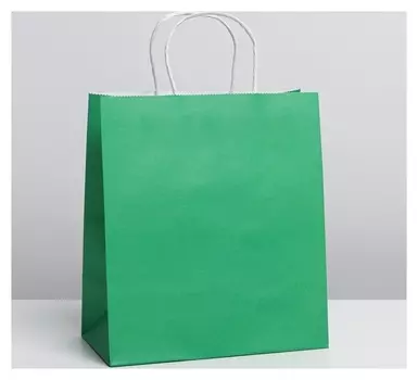 Пакет крафтовый Green, 22 × 25 × 12 см