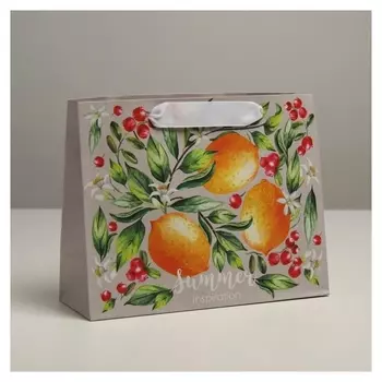 Пакет крафтовый подарочный «Лето», 22 × 17,5 × 8 см